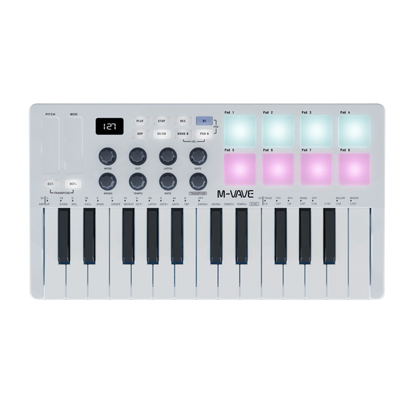 SMK-25 MIDI Arranger Keyboard RGB Pad Keyboard