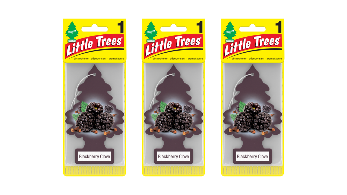 Little Trees Car Air Freshener Blackberry Clove (Bundle of 3)