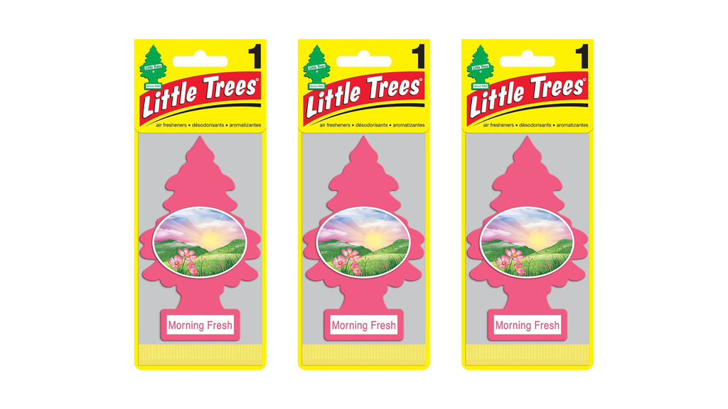 Little Trees Car Air Freshener Morning Fresh (Bundle of 3)