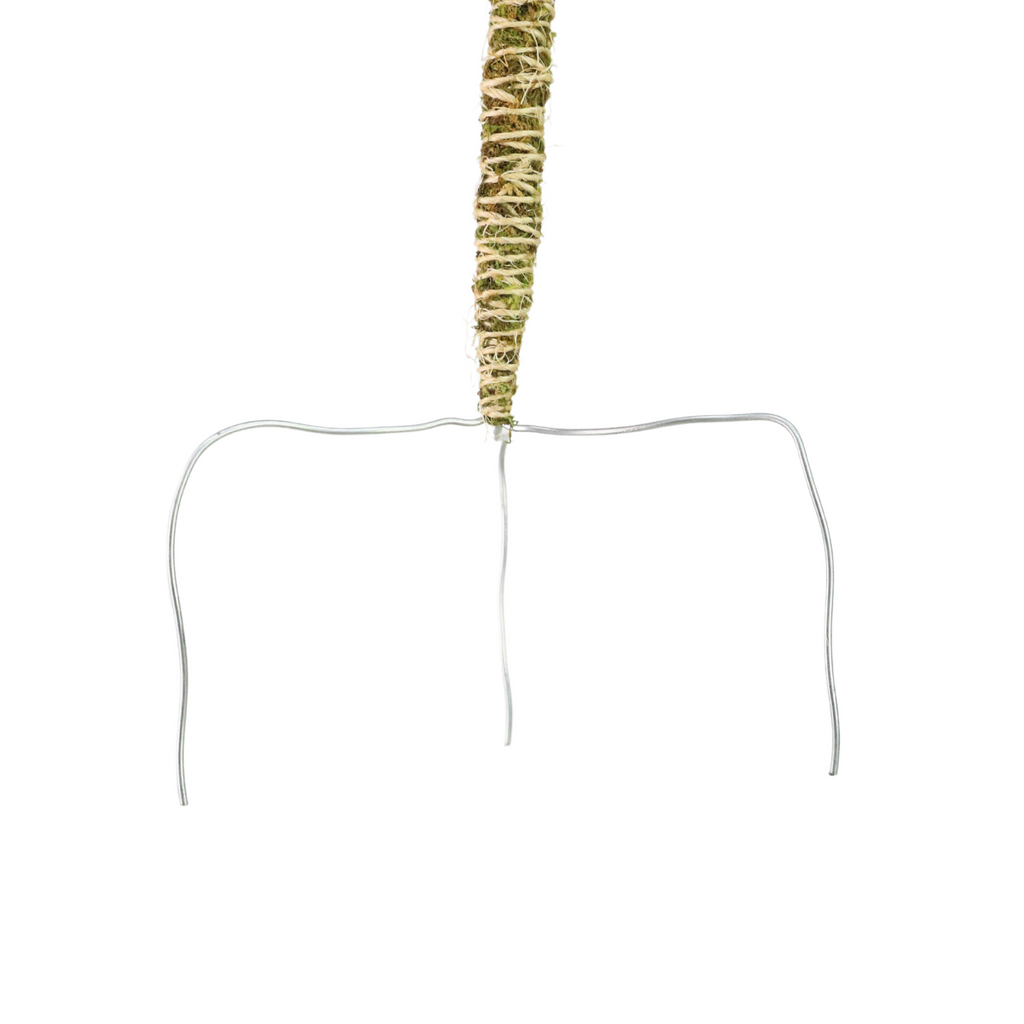 The Bendable Moss Pole™ 𝘛𝘏𝘐𝘕