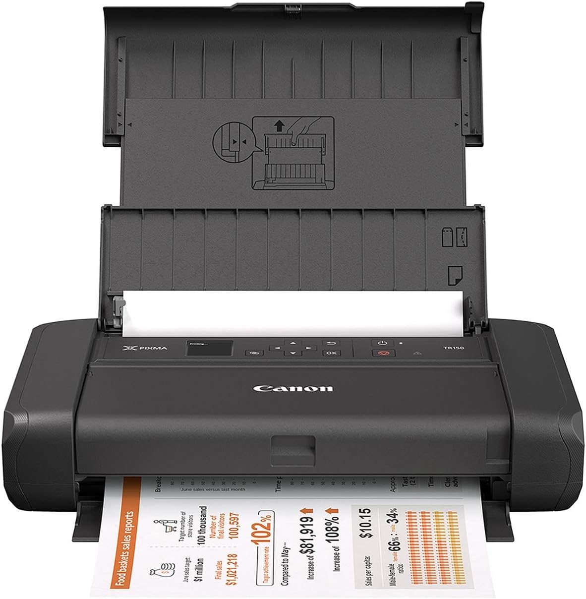 Canon PIXMA TR150 Wireless Portable Printer with Battery
