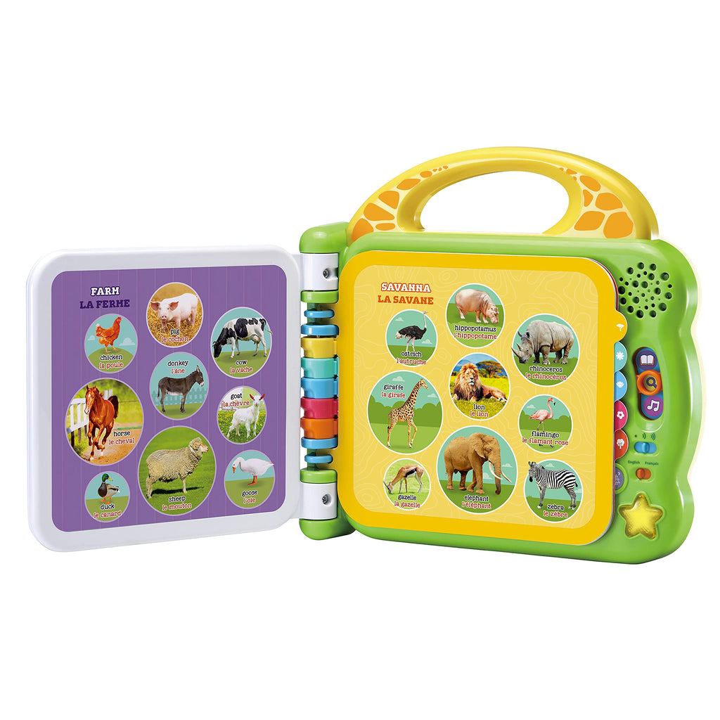 LeapFrog 100 Words About Places I Go Book (Bilingual English-French)