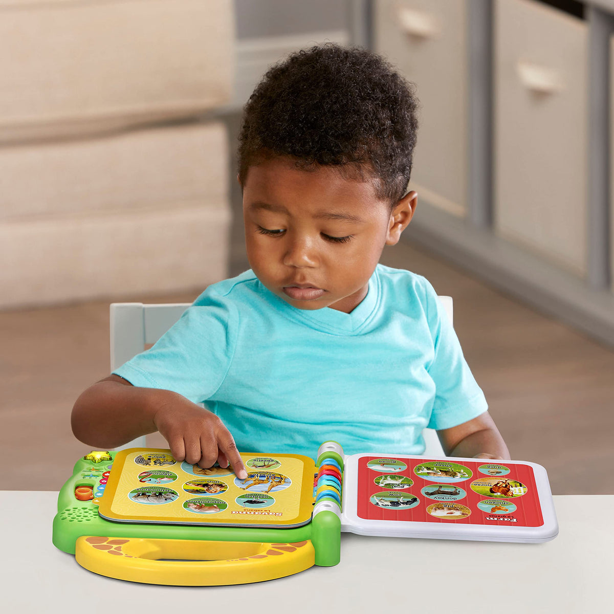 LeapFrog 100 Words About Places I Go Book (Bilingual English-French)
