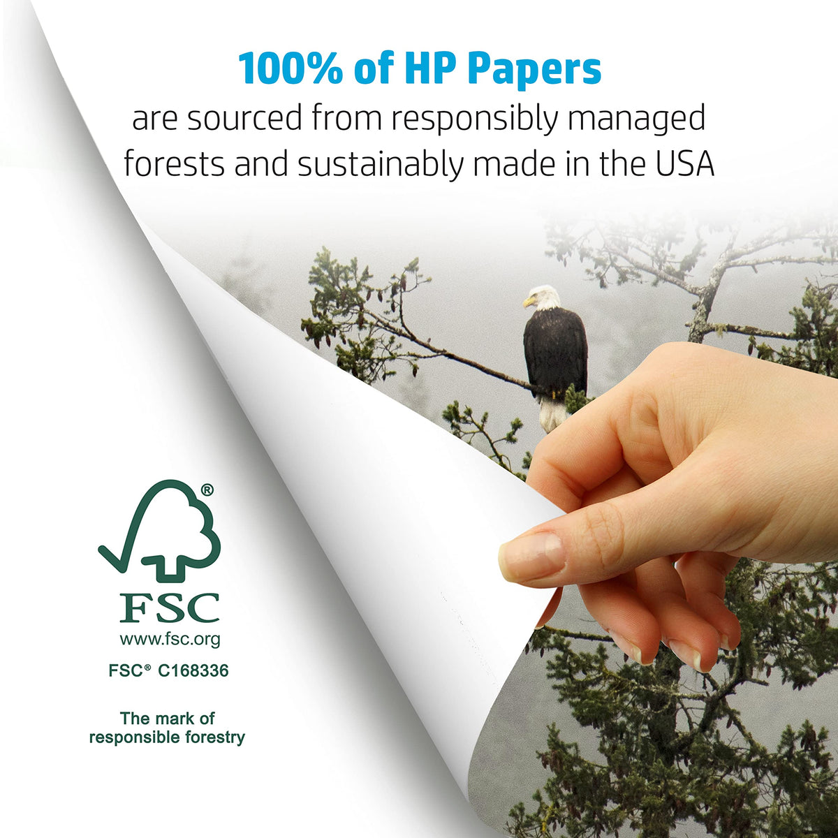 HP Printer Paper 8.5x11 Office 20 lb 5 Ream Case 2500 Sheets 92 Bright Made in USA FSC Certified Copy Paper HP Compatible 112150C 🍁 All In One Marketplace Canada