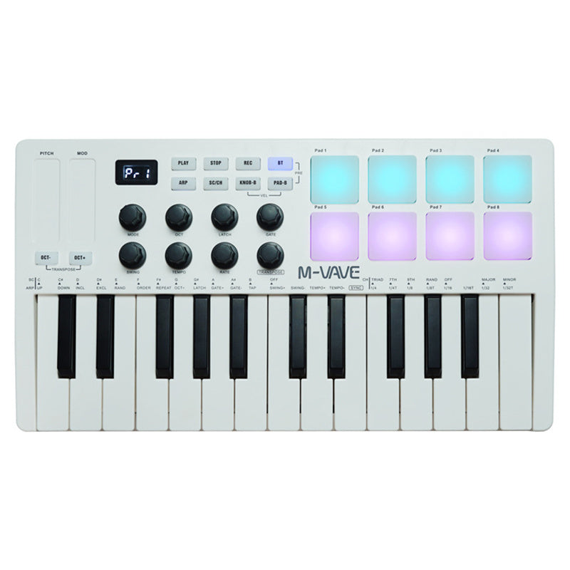 SMK-25 MIDI Arranger Keyboard RGB Pad Keyboard