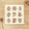 Brown Botanical Sponge Cloth